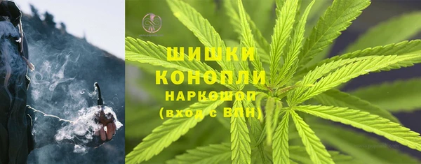 ГАЛЛЮЦИНОГЕННЫЕ ГРИБЫ Аркадак